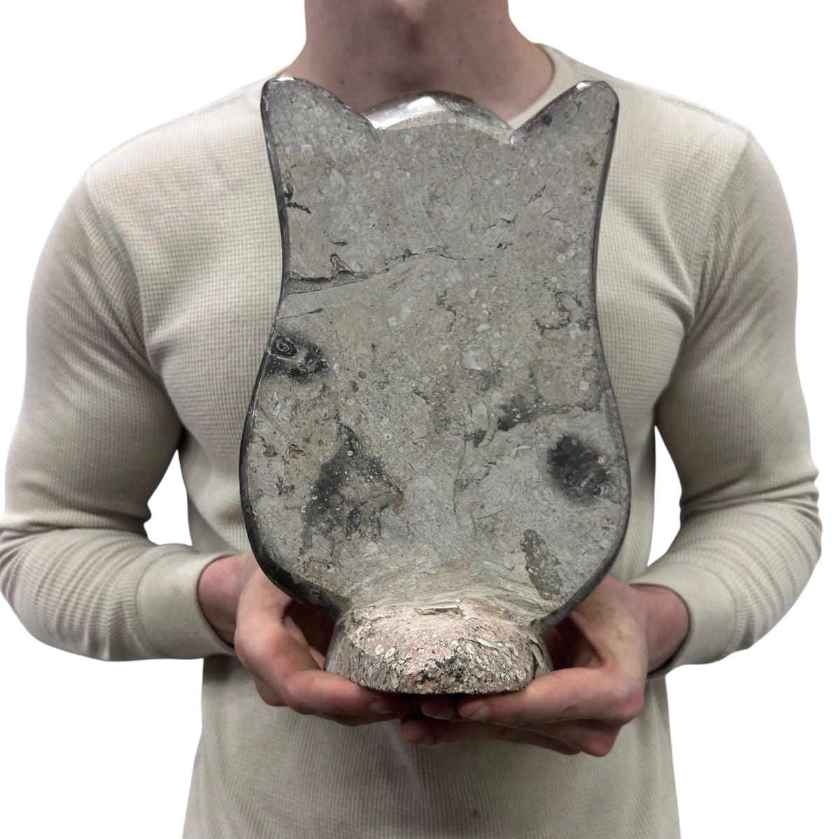 Medium Fossil Orthoceras and Gonatite Slab Plaque Standing Base - Polished Specimen Sculpture 11" 5.32 Lbs.