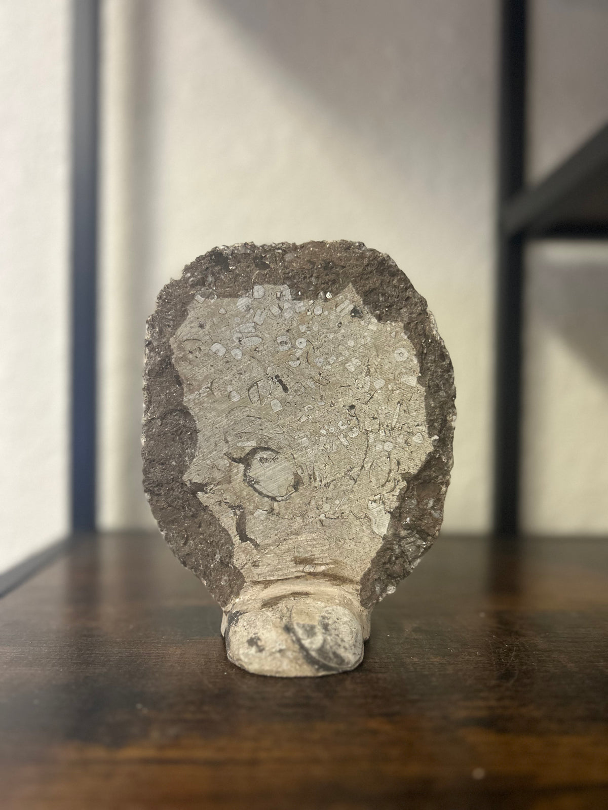 Small Orthoceras and Gontite Fossil Slab Plaque w/ Standing base - Polished Specimen Sculpture 6.25" 1.67 lbs