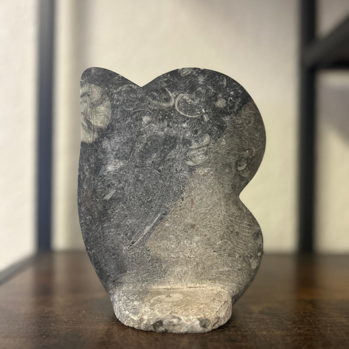 Small Orthoceras and Gontite Fossil Slab Plaque w/ Standing base - Polished Specimen Sculpture 6.25" 1.67 lbs