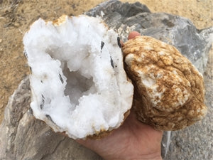 Break Open Moroccan Geode XXL Cantaloupe Size 6" - 8"
