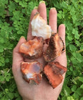 Carnelian Madagascar Rock Mineral - Raw w/ Bag & Tag