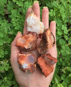 Carnelian Madagascar Rock Mineral - Raw w/ Bag & Tag