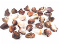 Carnelian Madagascar Rock Mineral - Raw 30 Pack