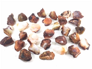 Carnelian Madagascar Rock Mineral - Raw 30 Pack