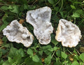 One Diamond Saw Cut Geode 2" Half | Moroccan Druzy Crystals Quartz Display
