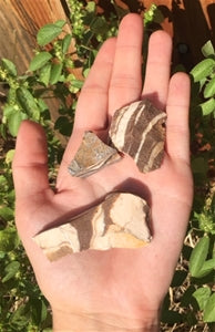 Zebra Jasper - Raw Natural Rough Mineral Rock