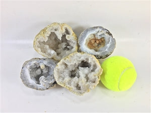 Two XL Geodes Combo Pack - Mexican Trancas | Morrocan Quartz