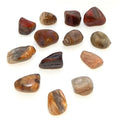 Tumbled Petrified Wood Mineral Rock w/ Bag & Tag