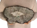 Huge Natural Agate Slab Sliced Polished 14.5"