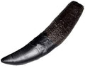 Allosaurus sp. Hand Claw Fossilized Replica