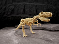 Large 18" Tyrannosaurus Rex Dinosaur Toy Model