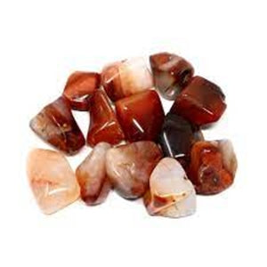 Tumbled Carnelian Madagascar Rock Mineral - Raw w/ Bag & Tag