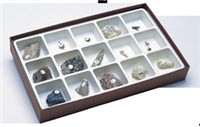 Paleozoic Fossils Sience Collection
