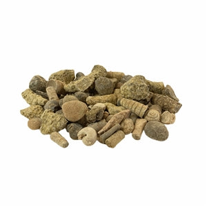 Fossil Mix 50 Pack 1 lb 75 Pieces
