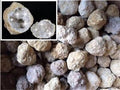 Bulk Pack - 25 Break Open Whole Moroccan Geodes - Crystal Centers 2"