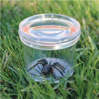 GeoSafari® Large 3" Bug Viewer