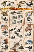 Dinosaur Skulls Reconstructed Poster