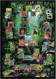 Tropical Rain Forest Poster