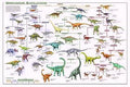 Dinosaur Evolution Poster (Laminated)