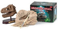 Triceratops Dinosaur Skull Dig Kit