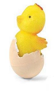 Hatch'ems Chicken Hatch and Grow Egg