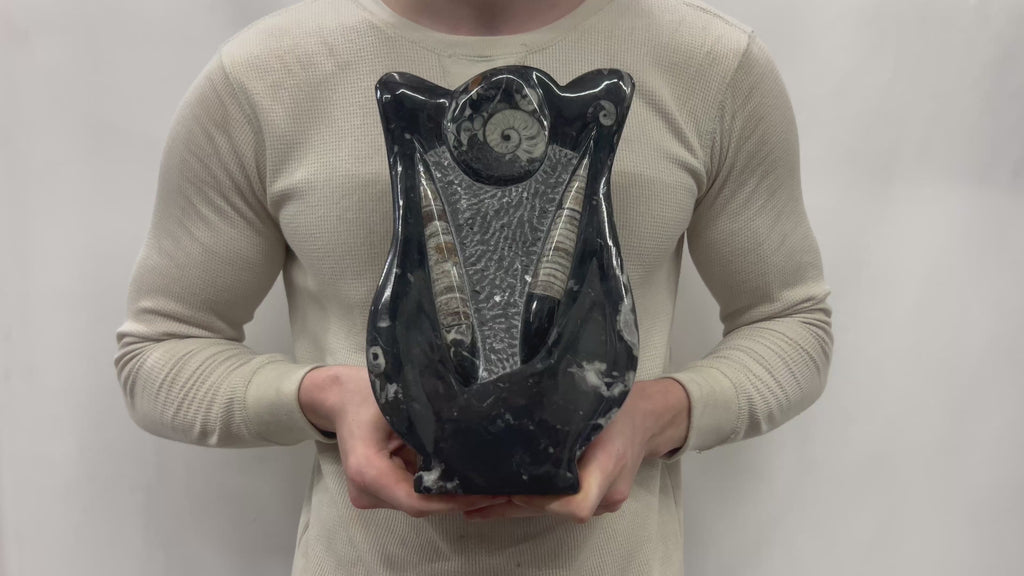 Medium Fossil Orthoceras and Gonatite Slab Plaque Standing Base - Polished Specimen Sculpture 11" 5.32 Lbs.
