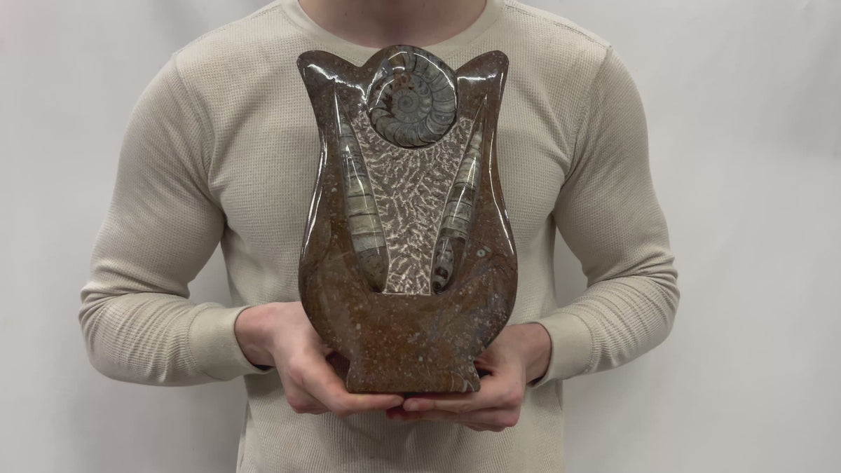 Medium Fossil Orthoceras and Gonatite Slab Plaque Standing Base - Polished Specimen Sculpture 11" 5.32 Lbs.