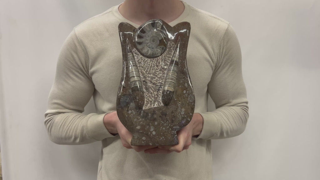 Medium Fossil Orthoceras and Gonatite Slab Plaque Standing Base - Polished Specimen Sculpture 11" 5.32 Lbs.