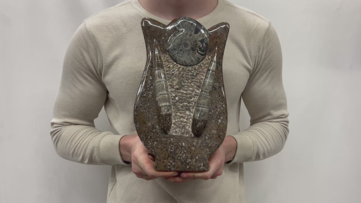 Medium Fossil Orthoceras and Gonatite Slab Plaque Standing Base - Polished Specimen Sculpture 11" 5.32 Lbs.