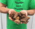 1/4 pound Piece of Texas Petrified Wood