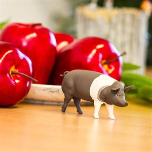Hampshire Pig Safari Hampshire Pig Model Toy