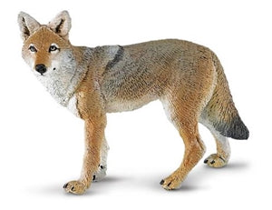 Wild Safari Wildlife Coyote Toy Model