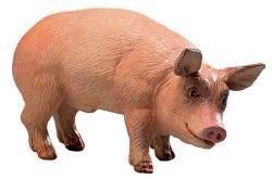 Wild Safari Farm Boar Toy Model