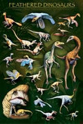 Feathered Dinosaurs Poster-Laminated Rolled and Sleeved