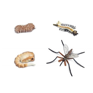 Life Cycle of a Mosquito Safari Mosquito Model