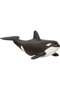 BABY ORCA