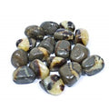 Tumbled Septarian Nodules Madagascar Rock Mineral - Raw w/ Bag & Tag
