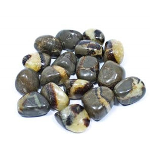 Tumbled Septarian Nodules Madagascar Rock Mineral - Raw w/ Bag & Tag