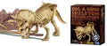Dig-a-Dino Triceratops