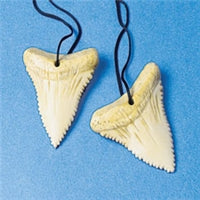 Replica Shark Tooth Necklace