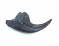 Allosaur Dinosaur Claw Replica