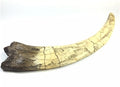 Therinzinosaurus Dinosaur Claw Replica (19 inches long)